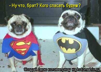 - Ну что, брат? Кого спасать будем?... Котоматрица: - Ну что, брат? Кого спасать будем?