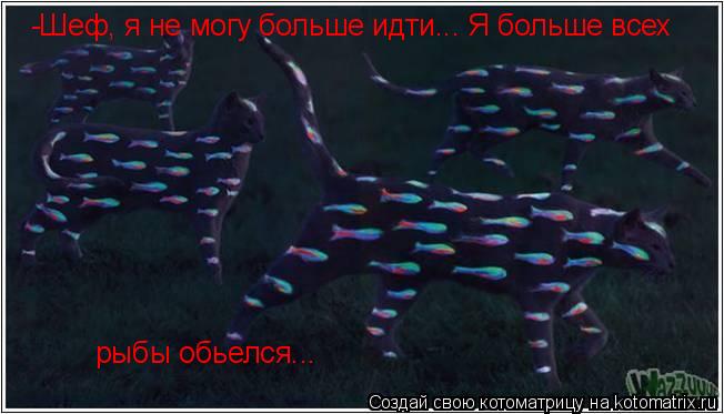 -Шеф, я не могу больше идти... Я больше всех рыбы обьелся...... Котоматрица: -Шеф, я не могу больше идти... Я больше всех рыбы обьелся...
