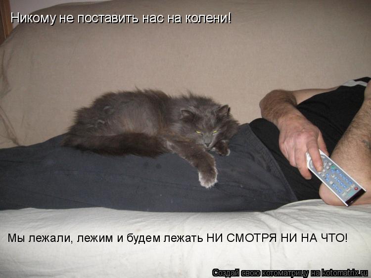 Никому не поставить нас на колени! Мы лежали, лежим и будем лежать НИ СМОТРЯ НИ НА ЧТО!... Котоматрица: Никому не поставить нас на колени! Мы лежали, лежим и будем лежать НИ СМОТРЯ НИ НА ЧТО!