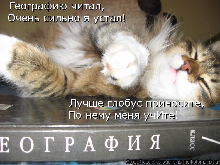 Географию читал, Очень сильно я устал! Лучше глобус приносите, По нему меня учИте!... Котоматрица: Географию читал, Очень сильно я устал! Лучше глобус приносите, По нему меня учИте!