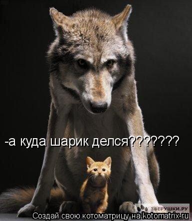 -а куда шарик делся???????... Котоматрица: -а куда шарик делся???????