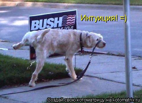 Интуиция! =)... Котоматрица: Интуиция! =)