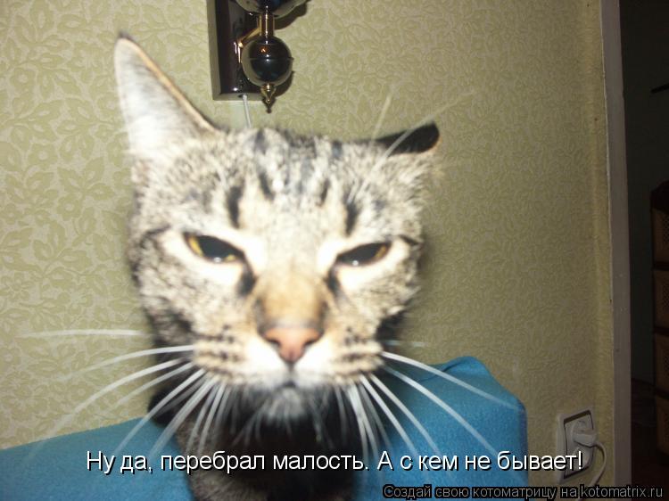 Ну да, перебрал малость. А с кем не бывает!... Котоматрица: Ну да, перебрал малость. А с кем не бывает!