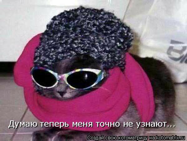 Думаю теперь меня точно не узнают...... Котоматрица: Думаю теперь меня точно не узнают...