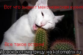 Вот что значит мексиканская кухня... Все такое острое!... Котоматрица: Вот что значит мексиканская кухня... Все такое острое!