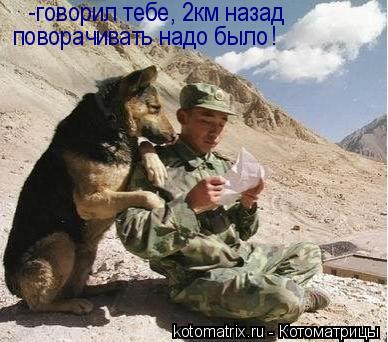-говорил тебе, 2км назад поворачивать надо было !... Котоматрица: -говорил тебе, 2км назад поворачивать надо было !