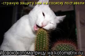 -страную защиту они на сосиску поставели... Котоматрица: -страную защиту они на сосиску поставели