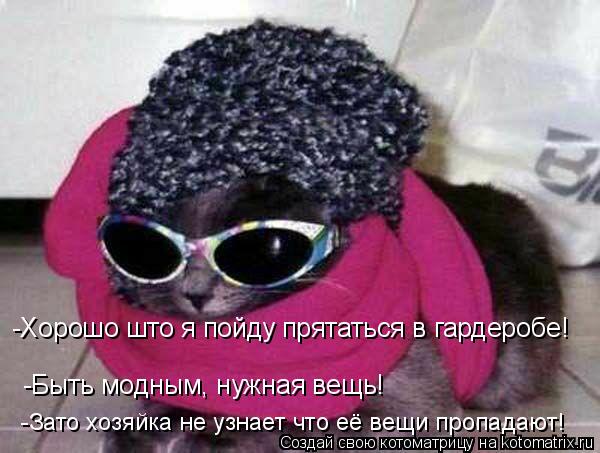 -Быть модным, нужная вещь! -Хорошо што я пойду прятаться в гардеробе! -Зато хозяйка не узнает что её ... Котоматрица: -Быть модным, нужная вещь! -Хорошо што я пойду прятаться в гардеробе! -Зато хозяйка не узнает что её вещи пропадают!