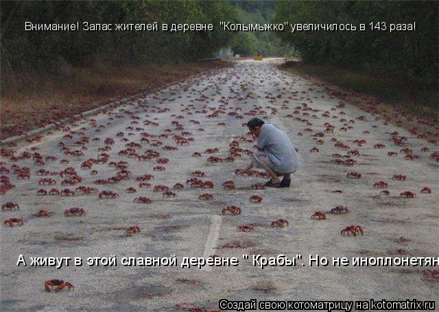 Внимание! Запас жителей в деревне "Колымыжко" увеличилось в 143 раза! А живут в этой славной деревне... Котоматрица: Внимание! Запас жителей в деревне "Колымыжко" увеличилось в 143 раза! А живут в этой славной деревне " Крабы". Но не иноплонетяне.