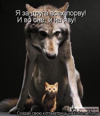 Я за друга всех порву! Я за друга всех порву! И во сне, и на яву!... Котоматрица: Я за друга всех порву! Я за друга всех порву! И во сне, и на яву!