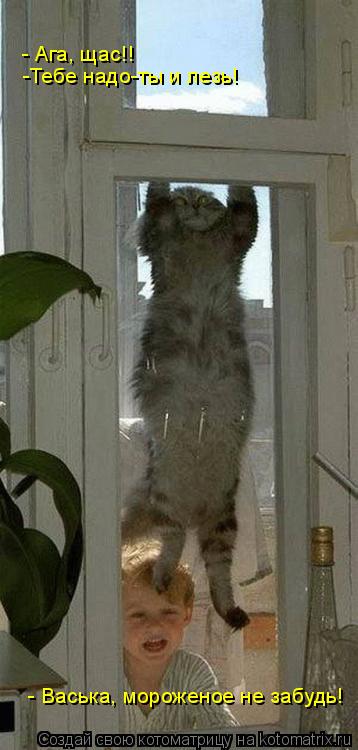 - Васька, мороженое не забудь! - Ага, щас!! -Тебе надо-ты и лезь!... Котоматрица: - Васька, мороженое не забудь! - Ага, щас!! -Тебе надо-ты и лезь!