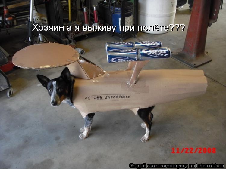 Хозяин а я выживу при полёте???... Котоматрица: Хозяин а я выживу при полёте???