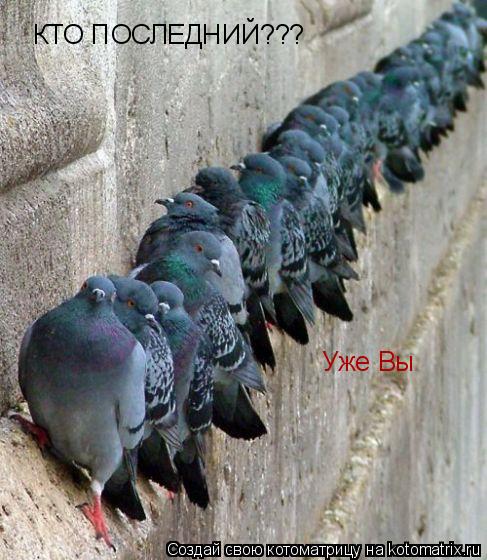 КТО ПОСЛЕДНИЙ??? Уже Вы... Котоматрица: КТО ПОСЛЕДНИЙ??? Уже Вы