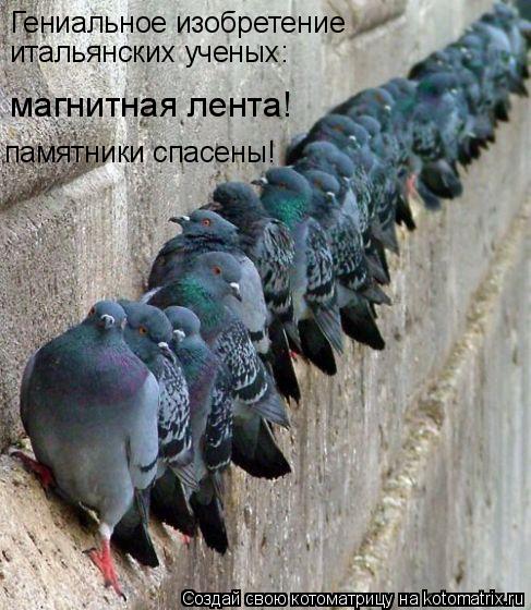Гениальное изобретение итальянских ученых: магнитная лента! памятники спасены!... Котоматрица: Гениальное изобретение итальянских ученых: магнитная лента! памятники спасены!
