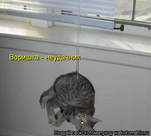 Воришка - неудачник... Котоматрица: Воришка - неудачник