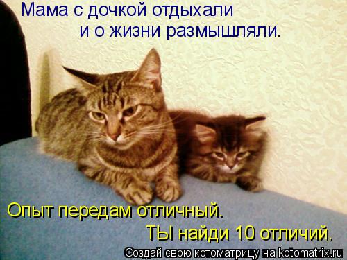 Мама с дочкой отдыхали и о жизни размышляли. Опыт передам отличный. ТЫ найди 10 отличий.... Котоматрица: Мама с дочкой отдыхали и о жизни размышляли. Опыт передам отличный. ТЫ найди 10 отличий.