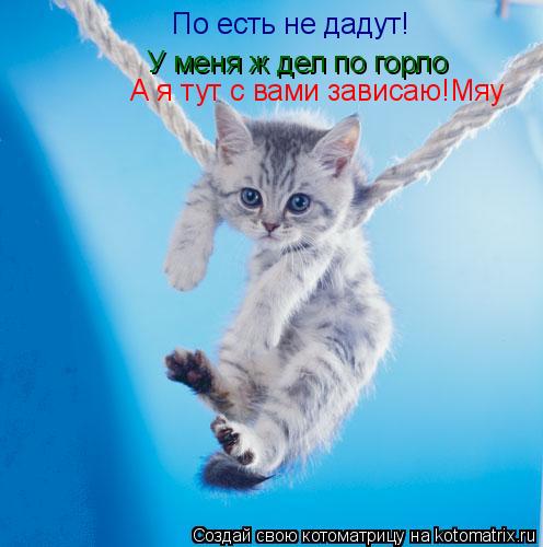 По есть не дадут! По есть не дадут! У меня ж дел по горло У меня ж дел по горло А я тут с вами зависа... Котоматрица: По есть не дадут! По есть не дадут! У меня ж дел по горло У меня ж дел по горло А я тут с вами зависаю!Мяу