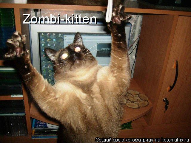 Котоматрица: Zombi-kitten