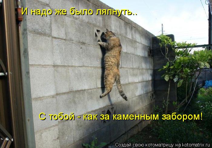 И надо же было ляпнуть.. С тобой - как за каменным забором!... Котоматрица: И надо же было ляпнуть.. С тобой - как за каменным забором!