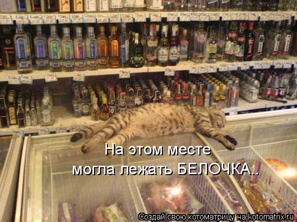 На этом месте могла лежать БЕЛОЧКА..... Котоматрица: На этом месте могла лежать БЕЛОЧКА..