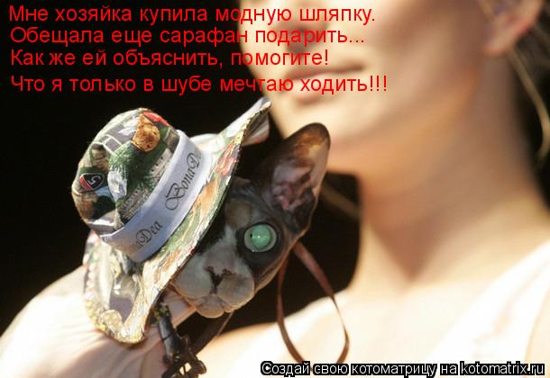 Котоматрица: Мне хозяйка купила модную шляпку. Обещала еще сарафан подарить... Как же ей объяснить, помогите! Что я только в шубе мечтаю ходить!!!