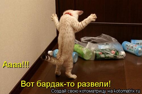Котоматрица: Аааа!!! Вот бардак-то развели!