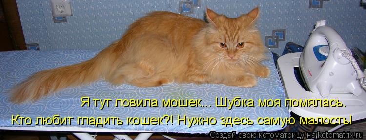Я тут ловила мошек... Шубка моя помялась. Кто любит гладить кошек?! Нужно здесь самую малость!... Котоматрица: Я тут ловила мошек... Шубка моя помялась. Кто любит гладить кошек?! Нужно здесь самую малость!