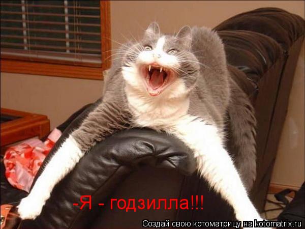 Котоматрица: -Я - годзилла!!!