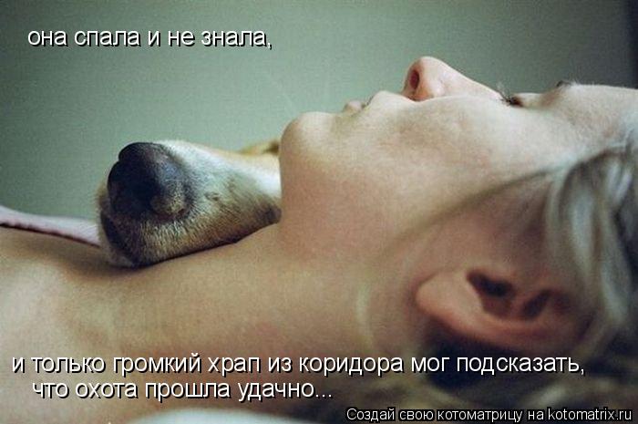 она спала и не знала, и только громкий храп из коридора мог подсказать, что охота прошла удачно...... Котоматрица: она спала и не знала, и только громкий храп из коридора мог подсказать, что охота прошла удачно...