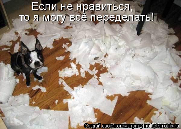 Если не нравиться, то я могу всё переделать!... Котоматрица: Если не нравиться, то я могу всё переделать!