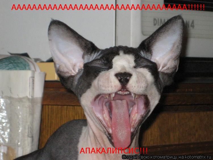 АААААААААААААААААААААААААААААААААА!!!!!! АПАКАЛИПСИС!!!... Котоматрица: АААААААААААААААААААААААААААААААААА!!!!!! АПАКАЛИПСИС!!!