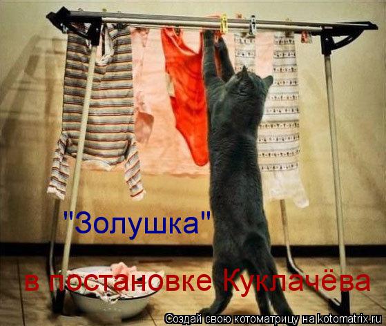 в постановке Куклачёва "Золушка"... Котоматрица: в постановке Куклачёва "Золушка"