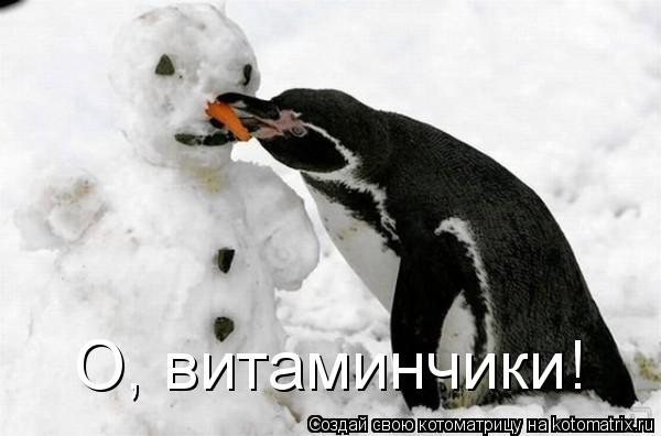 О, витаминчики!... Котоматрица: О, витаминчики!