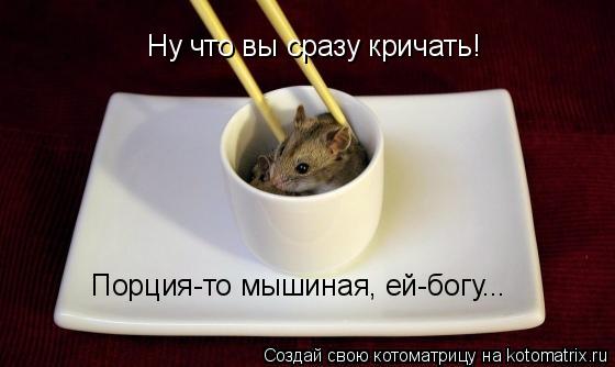 Ну что вы сразу кричать! Порция-то мышиная, ей-богу...... Котоматрица: Ну что вы сразу кричать! Порция-то мышиная, ей-богу...
