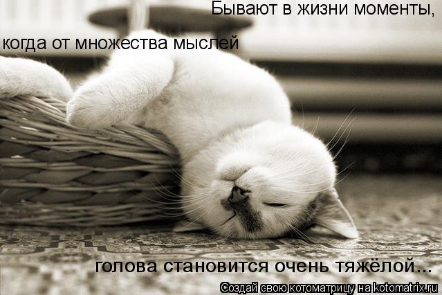 Котоматрица: Бывают в жизни моменты, когда от множества мыслей голова становится очень тяжёлой...