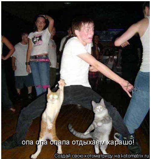Котоматрица: опа опа опапа отдыхаем харашо!