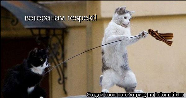 Котоматрица: ветеранам respekt!