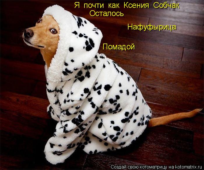 Котоматрица: Я  почти  как  Ксения  Собчак Осталось   Нафуфырица Помадой