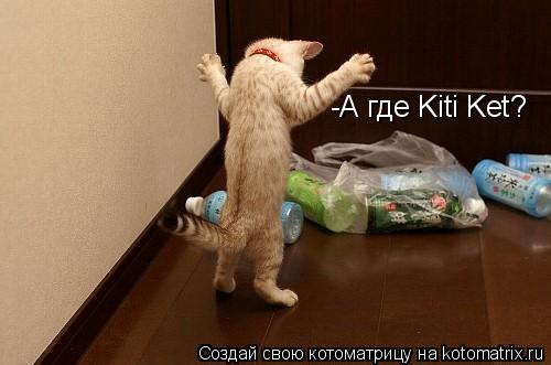 Котоматрица: -А где Kiti Ket?