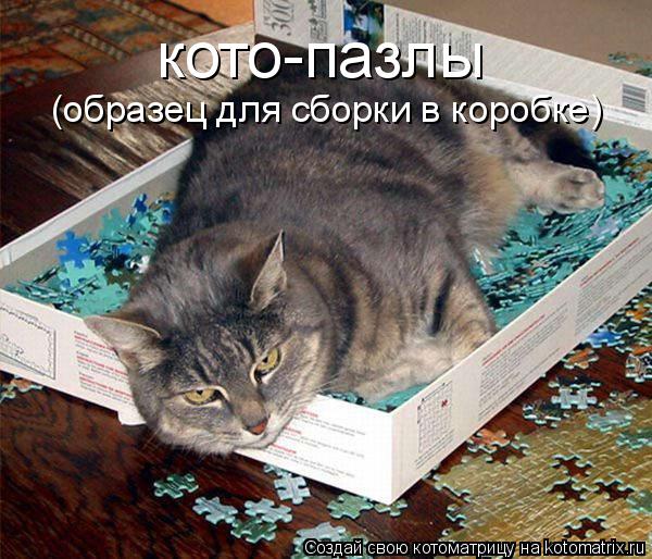 Котоматрица: кото-пазлы (образец для сборки в коробке)