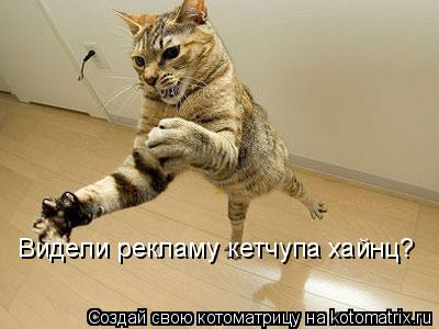 Видели рекламу кетчупа хайнц?... Котоматрица: Видели рекламу кетчупа хайнц?