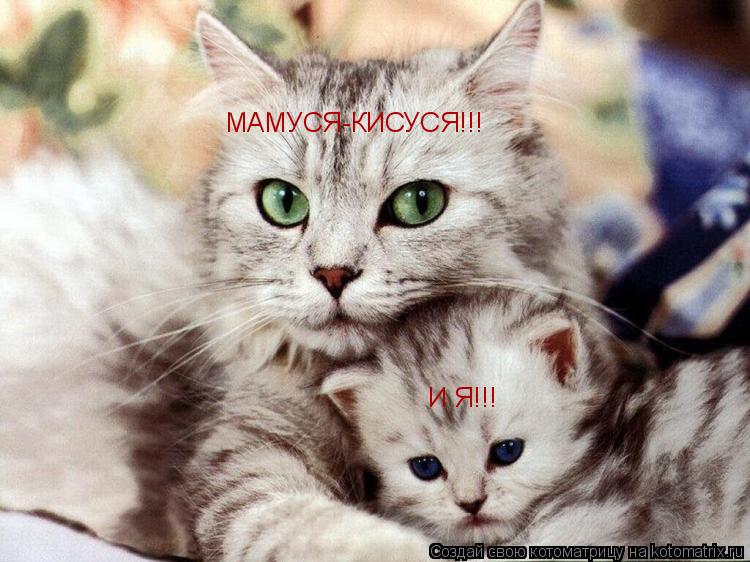 МАМУСЯ-КИСУСЯ!!! И Я!!!... Котоматрица: МАМУСЯ-КИСУСЯ!!! И Я!!!