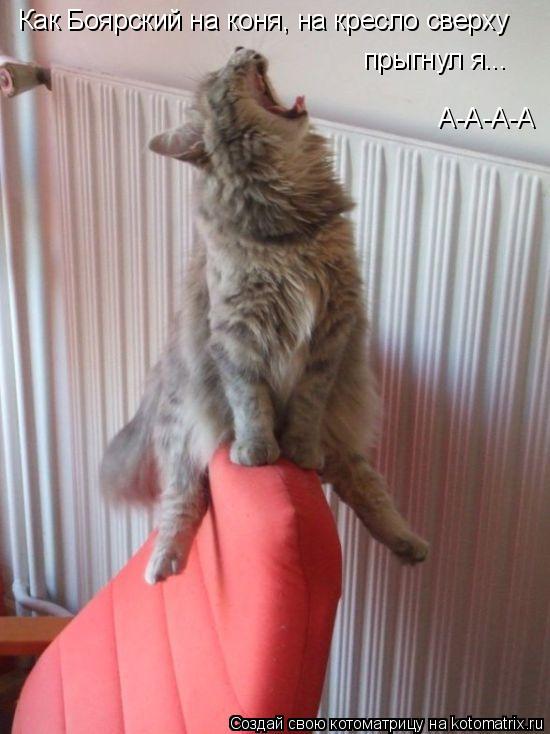 Как Боярский на коня, на кресло сверху прыгнул я... А-А-А-А... Котоматрица: Как Боярский на коня, на кресло сверху прыгнул я... А-А-А-А