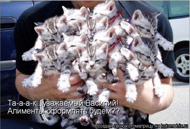 Та-а-а-к...уважаемый Василий! Та-а-а-к...уважаемый Василий! Алименты оформлять будем??... Котоматрица: Та-а-а-к...уважаемый Василий! Та-а-а-к...уважаемый Василий! Алименты оформлять будем??