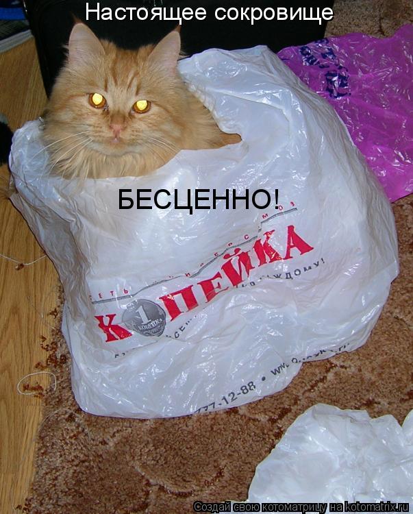 Настоящее сокровище БЕСЦЕННО!... Котоматрица: Настоящее сокровище БЕСЦЕННО!