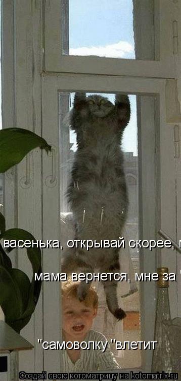 васенька, открывай скорее, мама вернется, мне за "самоволку "влетит мама вернется, мне за "самоволку... Котоматрица: васенька, открывай скорее, мама вернется, мне за "самоволку "влетит мама вернется, мне за "самоволку "влетит "самоволку "влетит