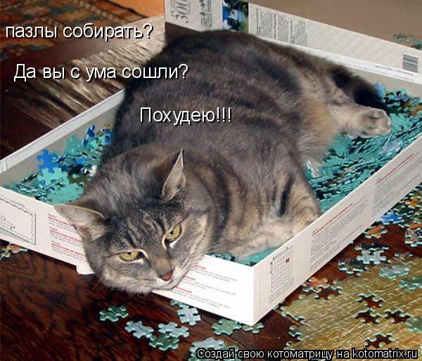 пазлы собирать? Да вы с ума сошли? Похудею!!!... Котоматрица: пазлы собирать? Да вы с ума сошли? Похудею!!!