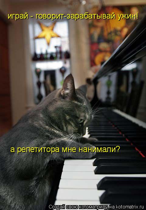 играй - говорит-зарабатывай ужин! а репетитора мне нанимали?... Котоматрица: играй - говорит-зарабатывай ужин! а репетитора мне нанимали?