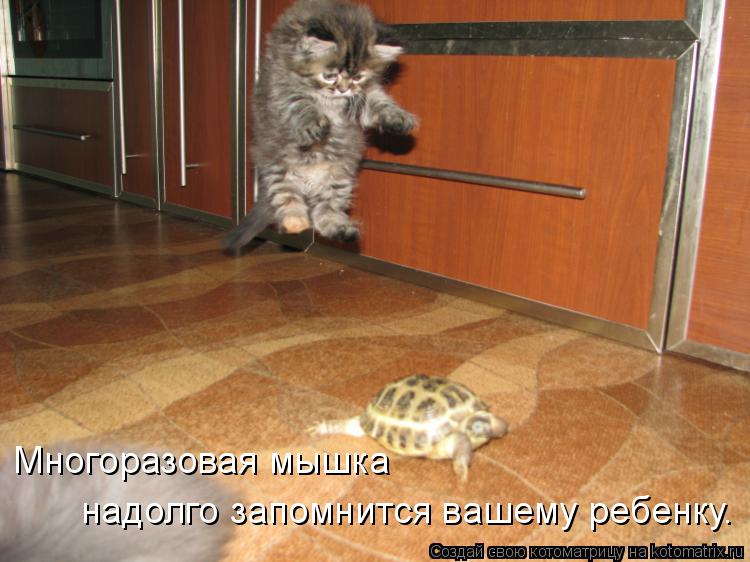 надолго запомнится вашему ребенку. Многоразовая мышка... Котоматрица: надолго запомнится вашему ребенку. Многоразовая мышка
