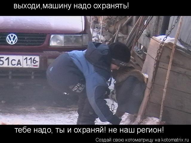 выходи,машину надо охранять! тебе надо, ты и охраняй! не наш регион!... Котоматрица: выходи,машину надо охранять! тебе надо, ты и охраняй! не наш регион!